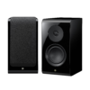 Boxe raft Yamaha NS-600A