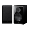 Boxe raft Yamaha NS-800A