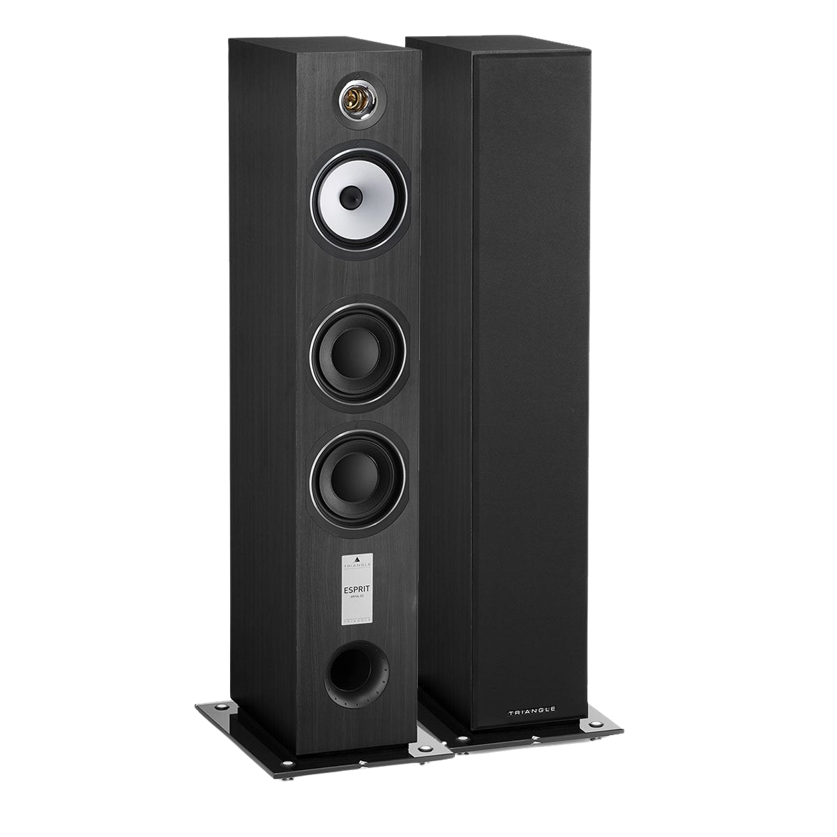 esprit-EZ-antal-ash-packshot-012913_nobg