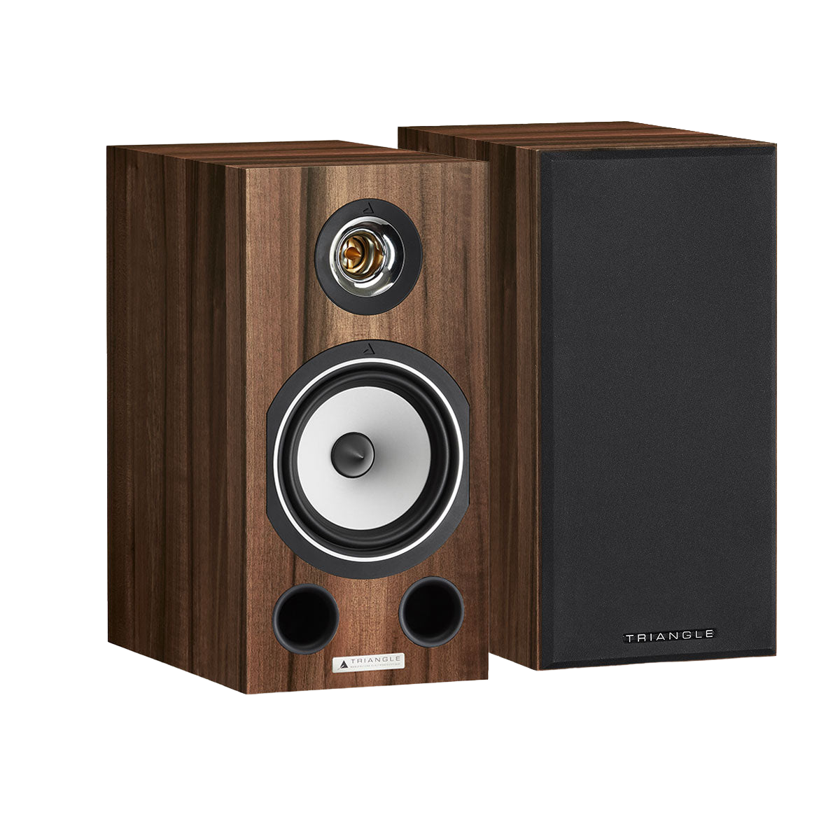 esprit-EZ-comete-packshot-chataignier-125937_nobg