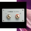Boxe de raft Yamaha NS-3000 - imagine 8