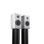 Boxă Polk Audio de Raft RESERVE R100