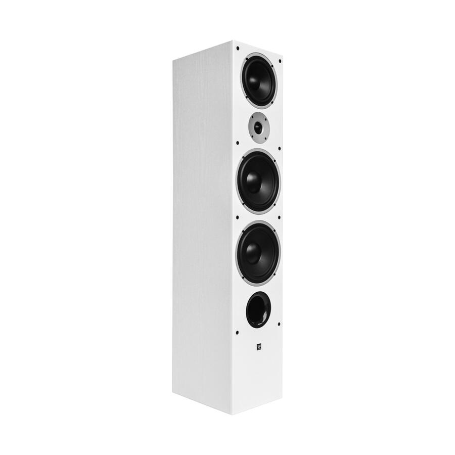 Boxă de podea RAPTOR 9 MAX