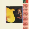T-Bone Walker - T-Bone Blues (Vinil 180g, LP dublu)