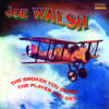 Joe Walsh - The Smoker You Drink, The Player You Get (Vinil 180g, LP dublu)