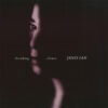 Janis Ian – Breaking Silence (Vinil 180g, LP dublu)