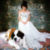 Norah Jones - The Fall (SACD hibrid)