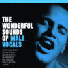 The Wonderful Sounds of Male Vocals (SACD hibrid)