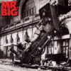 Mr. Big - Lean Into It (Vinil 180g, LP)