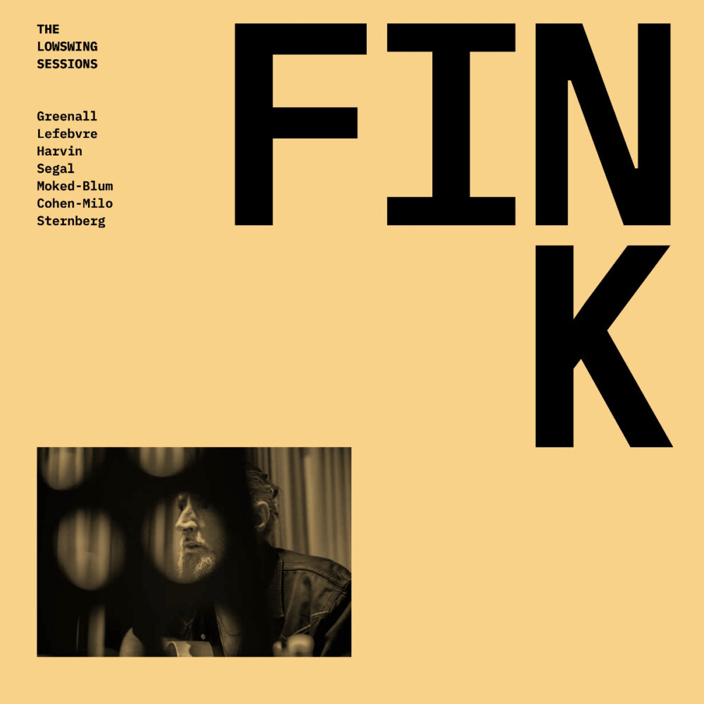 Fink - The LowSwing Sessions (Vinil 140g, LP)