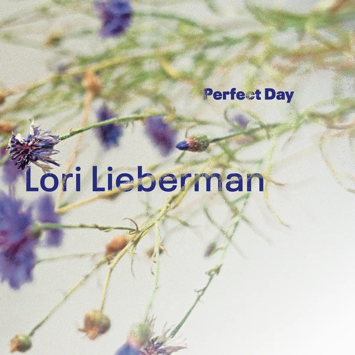 Lori Lieberman - Perfect Day (Vinil 180g, LP)