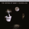 The Sisters Of Mercy - Floodland (Vinil 140g, LP)