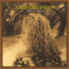 Cassandra Wilson - Belly Of The Sun (Vinil 180g, LP dublu)