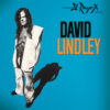 David Lindley - El Rayo-X (Vinil 180g, LP)