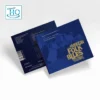 The Original American Folk Blues Festival – Live In Paris 1962, Bremen 1963 (UHQCD dublu)